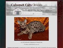 Tablet Screenshot of calumetcats.com
